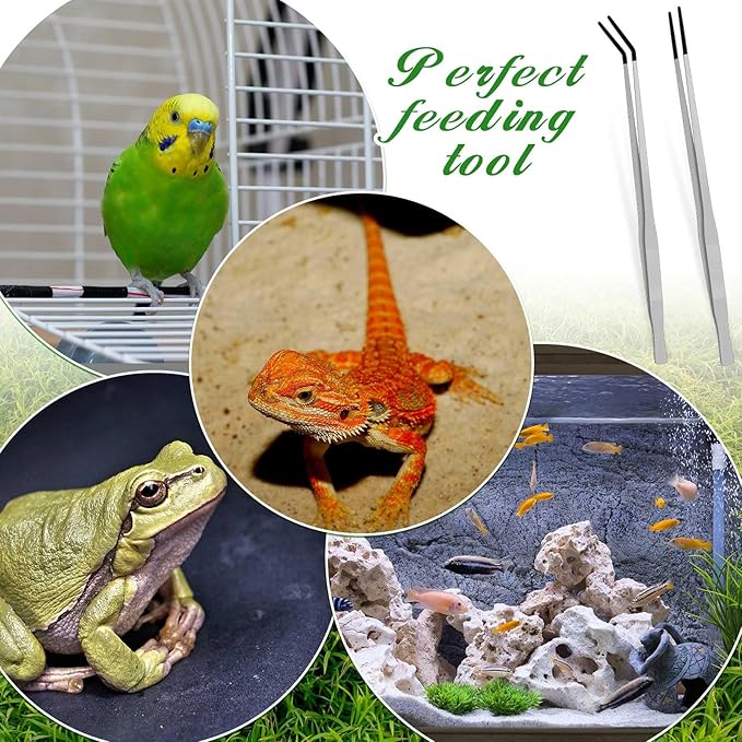 Lasnten 2 Pcs Extra Long Stainless Steel Reptile Feeding Tongs with Rubber Tip 18.5 Inch, 18.9 Inch Bearded Dragon Aquarium Straight and Curved Long Tweezer Terrarium Feeder Tool for Tank(Silver)