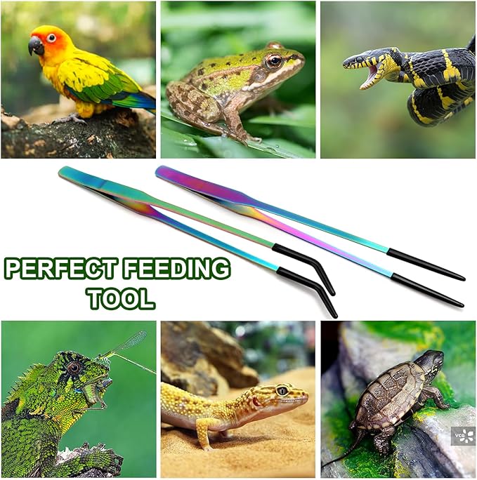 OLIISS Stainless Steel Reptile Feeding Tongs with Rubber Tip - 10.6" Straight & Curved Tweezers for Aquariums & Crafts - Feeder Tools for Bearded Dragons & Lizards - Terrarium Tank Supplies - 2 Pack - Image 7