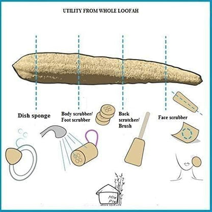 Natural Whole Loofah Sponge (Pack 3) - Exfoliating Body for Bath or Dish Scrubber for Kitchen - 100% Biodegradable Compostable, Dishwashing Scouring Pad, Zero Waste - Image 3