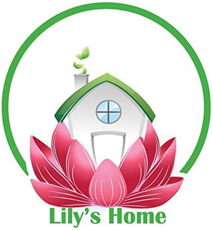 Lily's Home - 9.5 Inch x 12.5 Inch - Retro Kitchen Wall Clock, Vintage Wall Clock with a Thermometer and 60-Minute Timer, Ideal for Any Kitchen, Office, or Diner (Red)