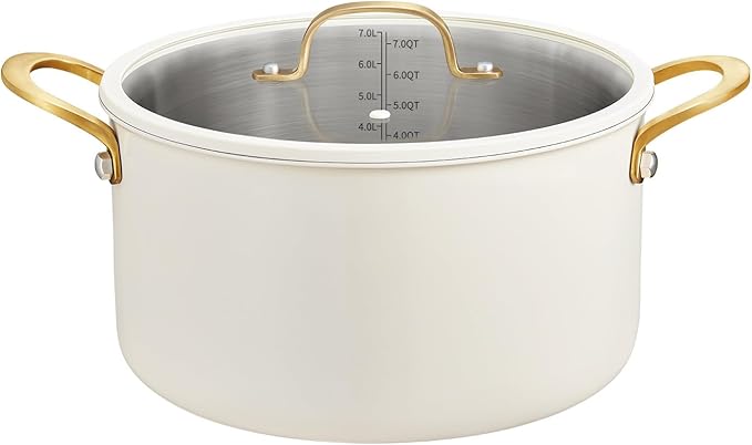 BEZIA 8 Quart Stainless Steel Stock Pot, Casserole with Lid, Large Cooking Pot, Soup Pot wiht Sturdy Handle, Compatible with Most Cooktops, Even Heat Distribution by BEZIA