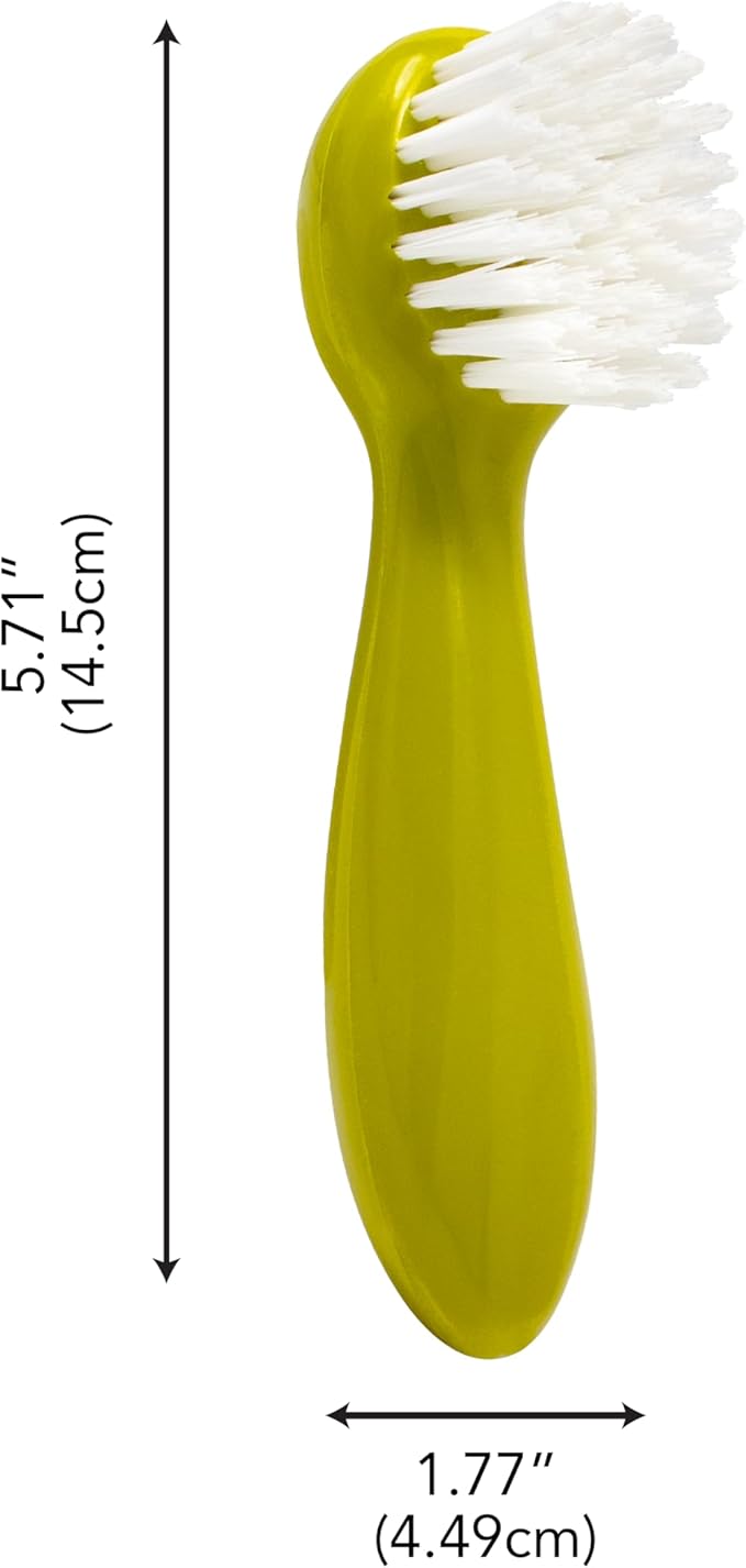 Joie Potato Scrub Brush, Ergonomic Easy Grip Handle, Ideal for Cleaning Vegetables and Fruits, Small and Compact, Handy Kitchen Gadget, BPA-Free, Dishwasher Safe, Green - Image 6