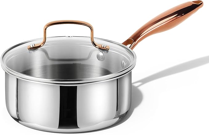 CAROTE 2Qt Stainless Steel Saucepan Set, Non-Toxic 3-Ply Stainless Steel Cookware Set with Lids, Small Kitchen Pots, Oven Safe, Compatible with Induction, Ceramic, Gas by CAROTE