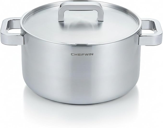 316 Stainless Steel 6 Quart Soup Pot with Lid Casserole, 5Ply, All Stoves Compatible, Dishwasher Safe, Silicone Cool-Touch Handle