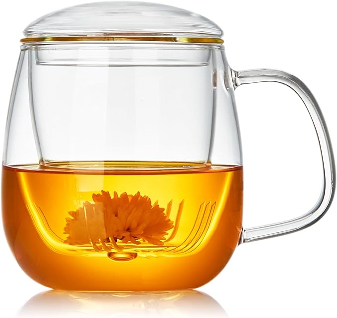 DOPUDO Large Glass Tea Cup, 25.6 oz Borosilicate Glass Tea Mug with Infuser and Lid, Clear Tea Cups for Brewing Scented Tea and Tea Bag. by DOPUDO