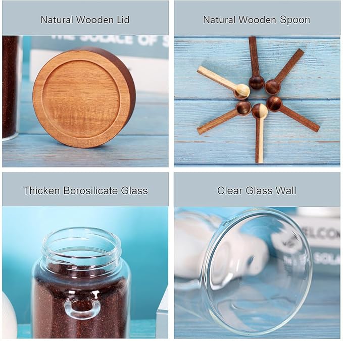 Glass Jar with Acacia Screw Lid and Spoon, 16 OZ Tea Containers for Loose Leaf Tea, Salt and Sugar Containers for Countertop, Yogurt Jars for Overnight Oatmeal