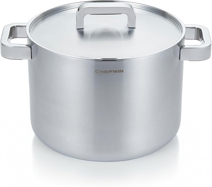 316 Stainless Steel 8.5 Quart Stock Pot with Lid Cooking Pot, 5Ply, All Stoves Compatible, Induction Cookware, Dishwasher Safe, Stay Cool Handle