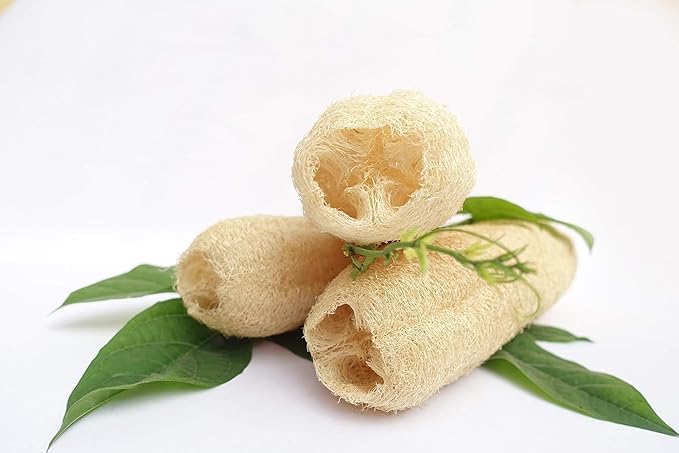 Natural Whole Loofah Sponge (Pack 3) - Exfoliating Body for Bath or Dish Scrubber for Kitchen - 100% Biodegradable Compostable, Dishwashing Scouring Pad, Zero Waste - Image 4
