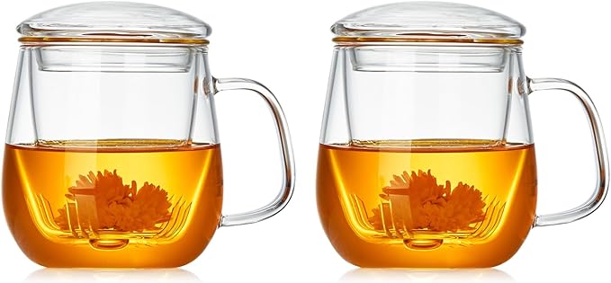 DOPUDO Glass Teacups 2 Pack Glass Tea Cup with Infuser and Lid, 17.6oz/520ml Large Borosilicate Teacup,Tea Clear Mug Cup for Loose Leaf Blooming Tea, Microwave & Dishwasher Safe. by DOPUDO