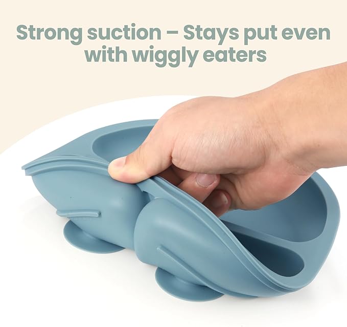 Eascrozn 2 Pack Baby Plates with Suction, 2 Pack Silicone Forks and Spoons Set, Baby Led Weaning Supplies, BPA Free, Toddler Utensils for Feeding Essentials - Image 6