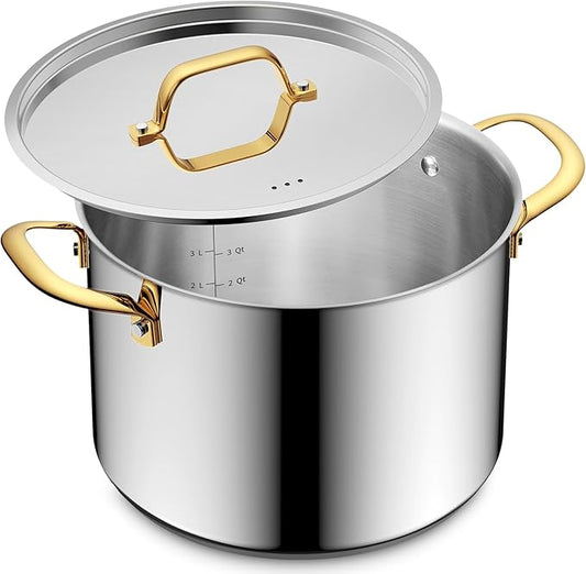 BEZIA 12 Quart Stainless Steel Stock Pot with Lid, 0-Coating Large Soup Pot for Family Gatherings, Tri-ply Even Heat for Holiday Feasts, Batch Cooking & Canning by BEZIA