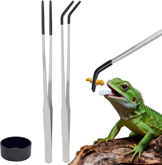 3 PACK Stainless Steel Reptile Feeding Tongs,10.62" Straight &Curved Long Feeding Tweezers&Bowl Set,Non Slip Feeding Tools with Rubber Tip,Bearded Dragon Tank Accessories (B-Silver)