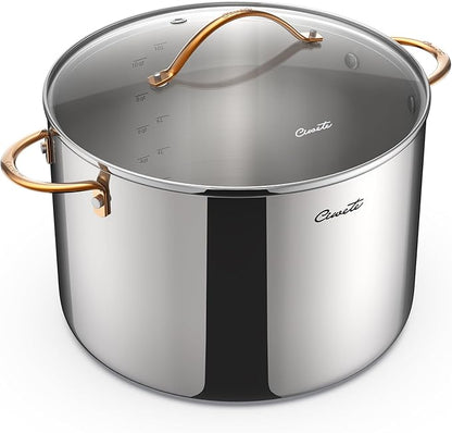 Ciwete 12 Quart Stock Pot with Lid, Upgraded Tri-Ply Stainless Steel Pot, Seamless Large Cooking Pot with Stay-Cool Brass Handle, Healthy Polished Stockpots, Induction Cookware, Oven & Dishwasher Safe by Ciwete