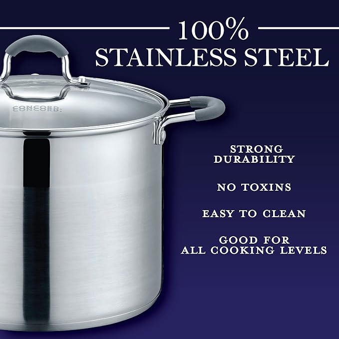CONCORD Stainless Steel Stock Pot with Glass Lid (Induction Compatible) ((10 QT)