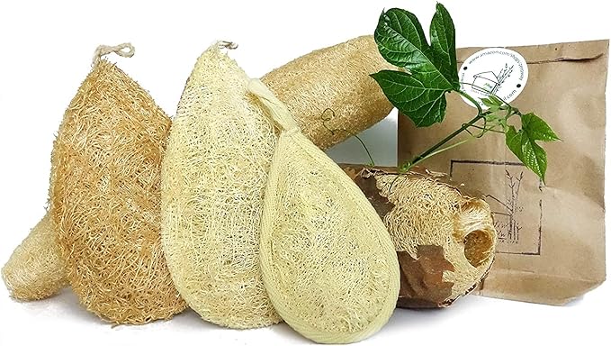 Natural Loofah Dish Sponge (Pack 10) - Vegetable Scrubber for Kitchen - 100% Biodegradable Compostable Dishwashing Scouring Pad, Zero Waste Plastic Free Eco Friendly Sustainable - Image 5