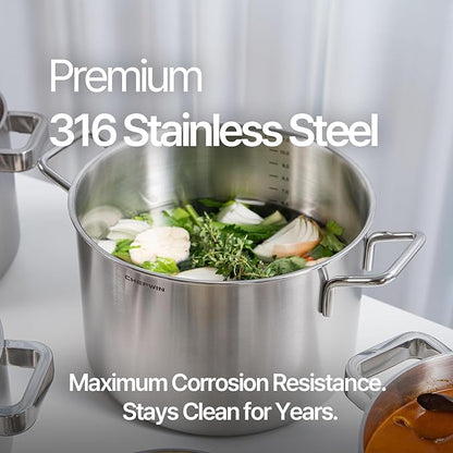 316 Stainless Steel 12.7 Quart Heavy Duty Stock Pot with Lid Deep Cooking Pot, 5Ply, Induction Cookware, Dishwasher Safe