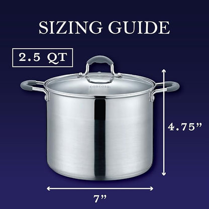 CONCORD Stainless Steel Stock Pot with Glass Lid (Induction Compatible) ((2.5 QT)