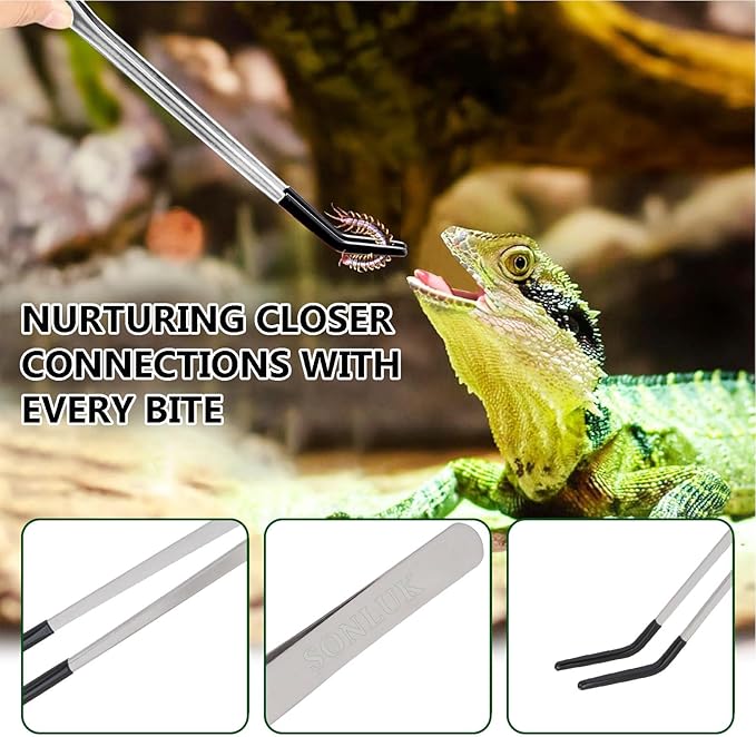 3 PACK Stainless Steel Reptile Feeding Tongs,10.62" Straight &Curved Long Feeding Tweezers&Bowl Set,Non Slip Feeding Tools with Rubber Tip,Bearded Dragon Tank Accessories (B-Silver)