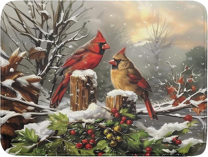 Winter Dish Drying Mat for Kitchen Counter 18x24 Inch Red Birds Cardinal Tree Christmas Theme Print Absorbent Reversible Microfiber Drying Mats Kitchen Countertop Protector Dishes Drainer Rack Pad by Aytipun