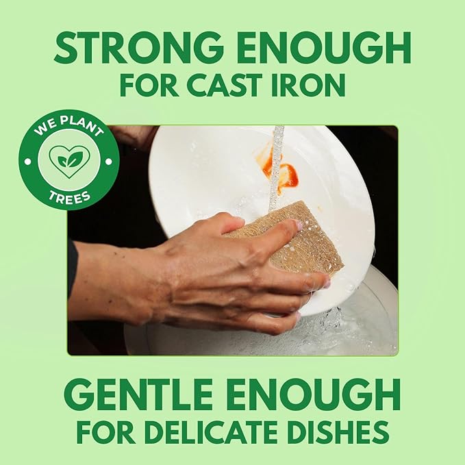 AIRNEX Natural Kitchen Sponges Pack of 18 - Biodegradable Cellulose and Coconut Husk Walnut Scrubbers - Odor Free Non Scratch - Eco Friendly Quick Drying Dishwashing Sponges - Image 3