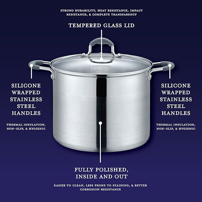 CONCORD Stainless Steel Stock Pot with Glass Lid (Induction Compatible) ((10 QT)