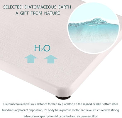 NiuYichee 2 Pcs Water Absorbing Stone Trays, Kitchen/Bathroom Sink Soap Dish, Diatomite Tray Used for Hand Soap & Cosmetic Bottles in The Modern Home, 4" W x 8.3" L, White