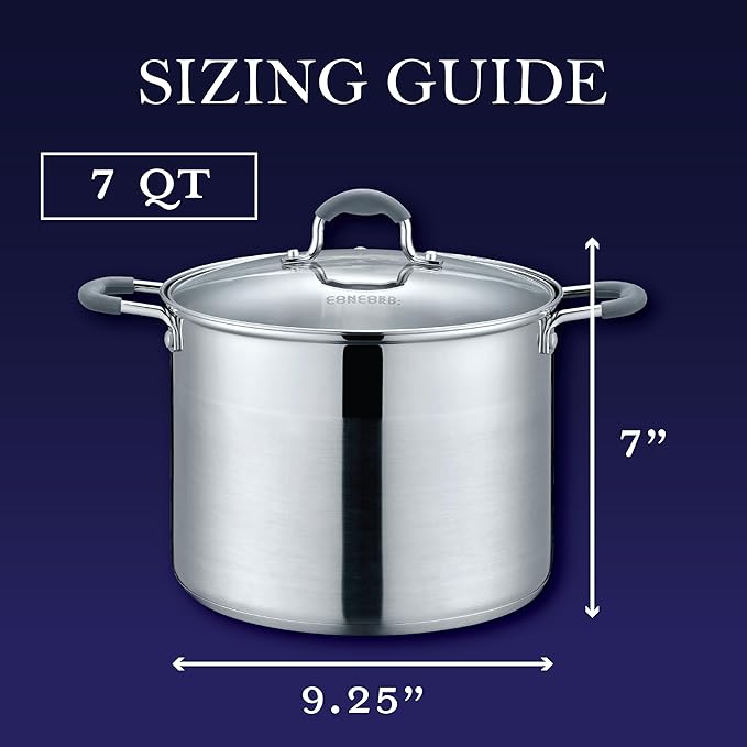CONCORD Stainless Steel Stock Pot with Glass Lid (Induction Compatible) ((7 QT)