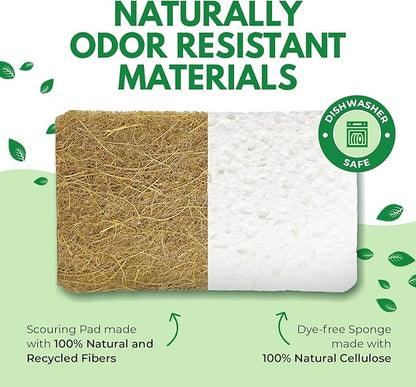 AIRNEX Biodegradable Natural Kitchen Sponges Pack of 6 - Cellulose and Coconut Walnut Scrubber Sponge - Eco Friendly Sponges for Dishes - Image 4