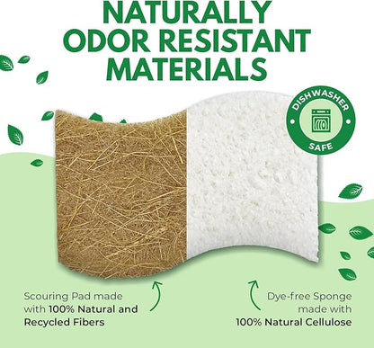 AIRNEX Natural Kitchen Sponges (6 Pack) - Biodegradable Cellulose & Coconut Scrubber Dish Sponges for Kitchen - Eco-Friendly, Non Scratch, Compostable, Non Toxic S-Shaped Natural Sponges for Dishes - Image 2