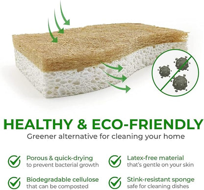 AIRNEX Natural Kitchen Sponges (24 Pack) - Biodegradable Cellulose & Coconut Scrubber Dish Sponges for Kitchen - Eco-Friendly, Non Scratch, Compostable, Non Toxic S-Shaped Natural Sponges for Dishes - Image 4