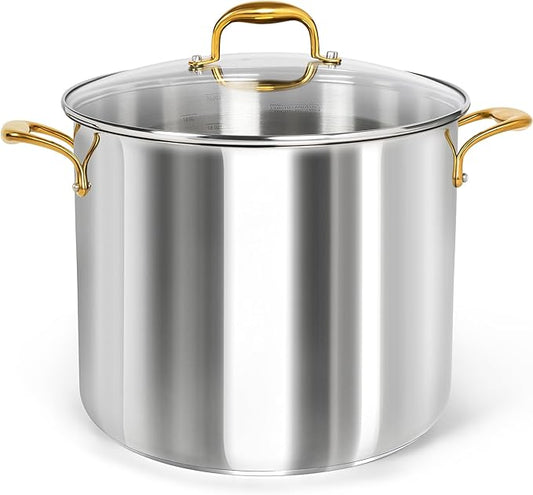 MICHELANGELO Stainless Steel Stock Pot - 20 Quart Soup Pot with Lid & Ergonomic Handle, Extra-Large Pots for Cooking, Suitable for All Stoves