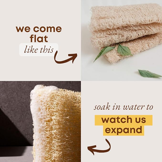 Natural Loofah Sponge (Pack 4) - Exfoliating Body for Bath or Dish Scrubber for Kitchen - 100% Biodegradable Compostable Zero Waste Dishwashing Scouring Pad - Image 4