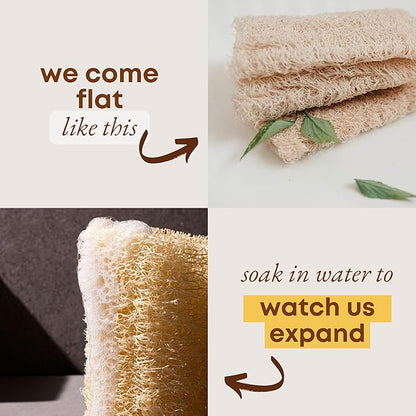 Natural Loofah Sponge (Pack 4) - Exfoliating Body for Bath or Dish Scrubber for Kitchen - 100% Biodegradable Compostable Zero Waste Dishwashing Scouring Pad - Image 4