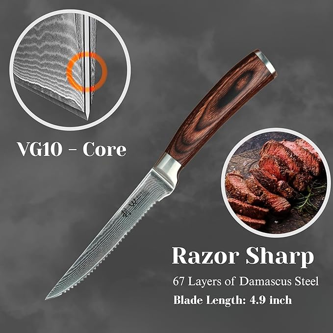 Wakoli EDIB 4-Piece Damascus Steak Knife Set – Professional Dining Kitchen Knives with VG10 Core Blades, 67-Layer Damascus Steel & Ergonomic Pakkawood Handles – Premium Steak Cutlery in Gift Box
