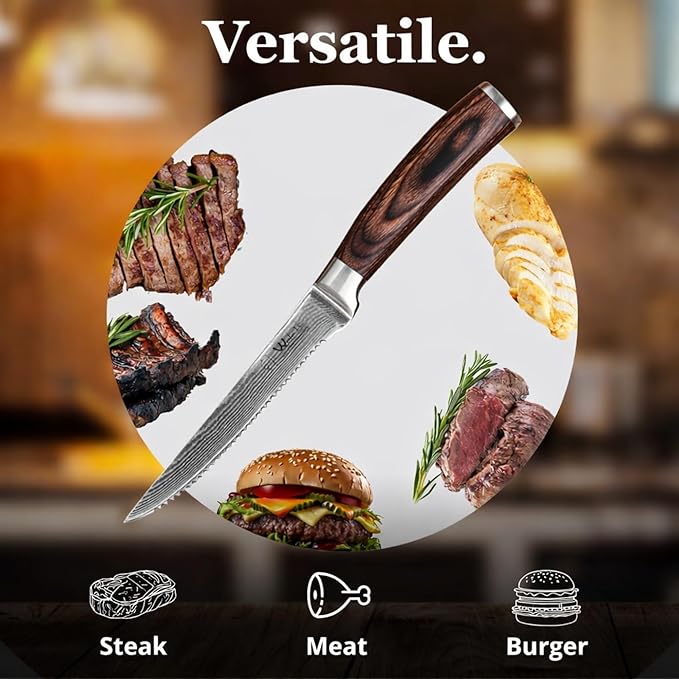 Wakoli EDIB 4-Piece Damascus Steak Knife Set – Professional Dining Kitchen Knives with VG10 Core Blades, 67-Layer Damascus Steel & Ergonomic Pakkawood Handles – Premium Steak Cutlery in Gift Box
