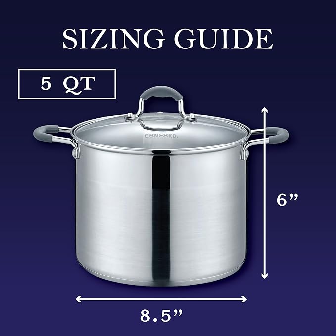 CONCORD Stainless Steel Stock Pot with Glass Lid (Induction Compatible) ((5 QT)