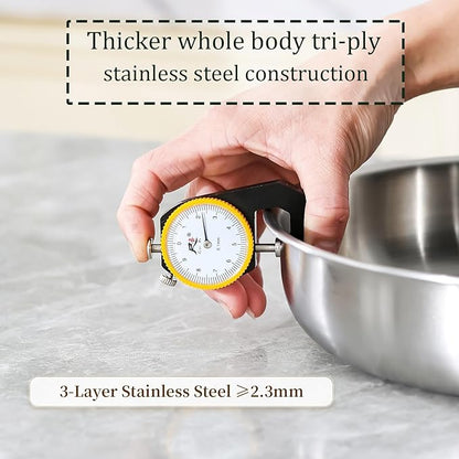 DELARLO Stainless Steel Pan 10.3Inch, Tri-ply Stainless Steel Frying Pan with Lid, Heavy Duty, Compatible with All Cooktop, up to 650℉, Fast & Even Heating, PTFE & PFOA Free, Oven Safe Skillet