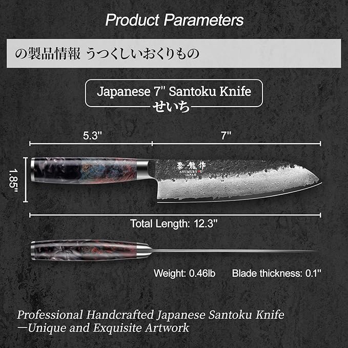 Japanese Santoku Knife 7 Inch, Hand Forged 67 Layers Damascus VG10 Steel Core Chef Knife for Home ＆ Professional Chefs, Kitchen Knives with Leather Sheath and Luxury Gift Box, Ideal Cooking Gift