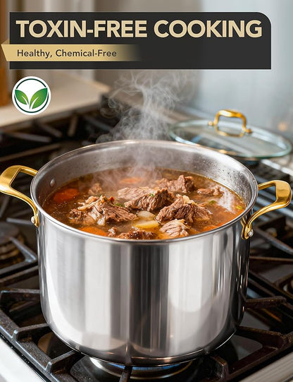 MICHELANGELO Stainless Steel Stock Pot with Lid - 12 Quart Soup Pot with Ergonomic Handle, Large Cooking Pots for StewSoup, Suitable for All Stoves