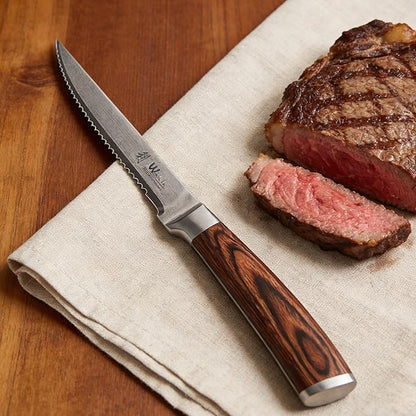 Wakoli EDIB 4-Piece Damascus Steak Knife Set – Professional Dining Kitchen Knives with VG10 Core Blades, 67-Layer Damascus Steel & Ergonomic Pakkawood Handles – Premium Steak Cutlery in Gift Box