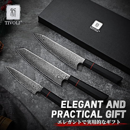 TIVOLI Damascus Knife Set 3PCS - VG10 Japanese Kitchen Knife - Ultra Sharp Chef Knives Set With Octagonal Handle，Professional Cooking Knives for Meat Vegetable Fruit, Christmas Gift for Mom Dad