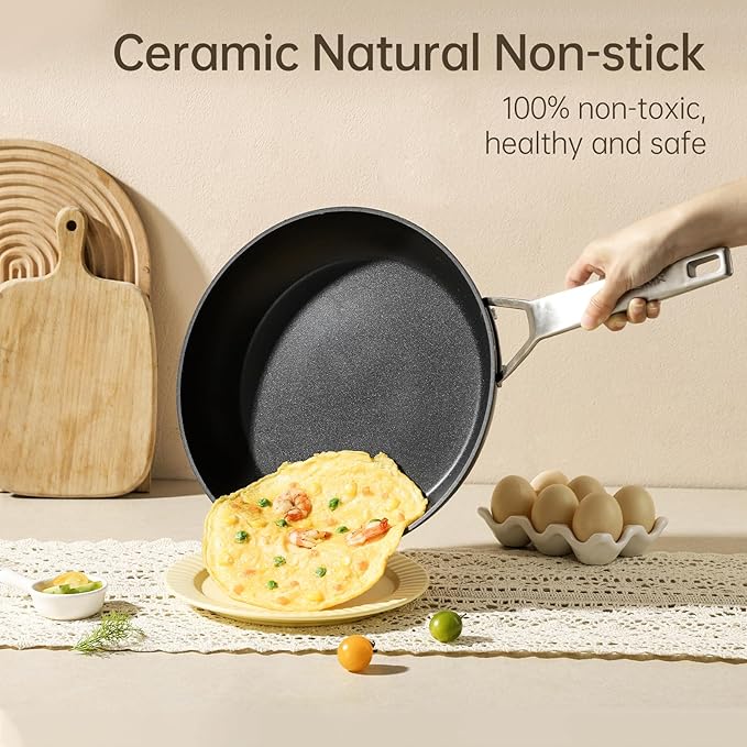 MsMk 9 1/2 Inch Small Egg Pan with Lid, Titanium and Ceramic Nonstick Omelette Pan,Scratch-resistant, Induction Egg Skillet, Oven Safe to 700°F Pan for Cooking, Dishwasher Safe