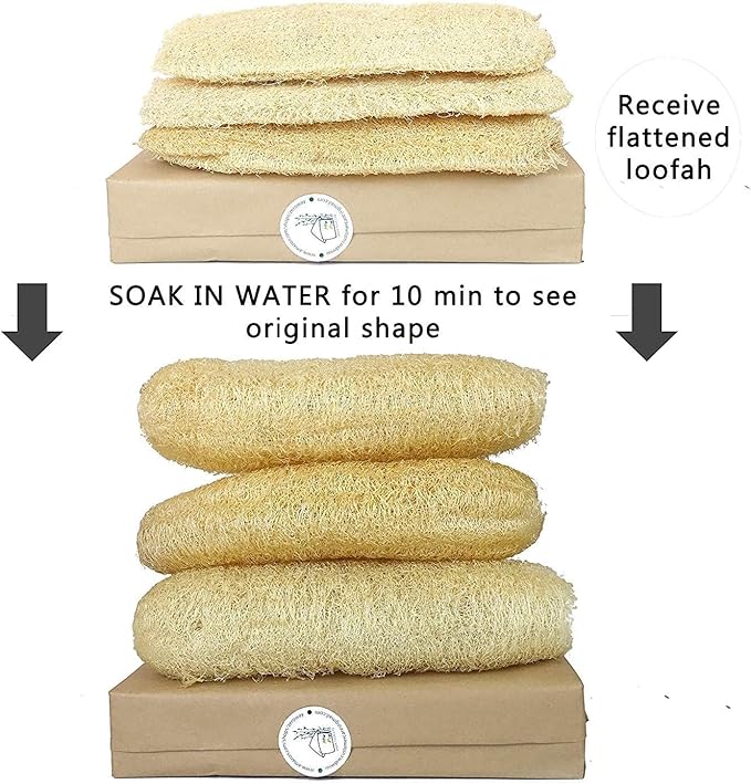 Natural Whole Loofah Sponge (Pack 3) - Exfoliating Body for Bath or Dish Scrubber for Kitchen - 100% Biodegradable Compostable, Dishwashing Scouring Pad, Zero Waste - Image 2