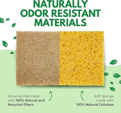 AIRNEX Natural Kitchen Sponges Pack of 18 - Biodegradable Cellulose and Coconut Husk Walnut Scrubbers - Odor Free Non Scratch - Eco Friendly Quick Drying Dishwashing Sponges - Image 4