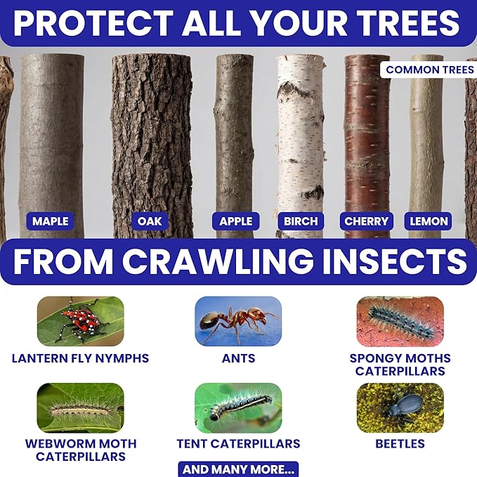 Spotted Lantern Fly Trap for Trees. 3 Sticky Fly Paper Rolls with Pins and Egg Scraper. Bug Tree Tape Wrap Ant Barrier Spotted Lanternfly Killer. Lantern Flies Tape for Trees Glue Insect Barrier