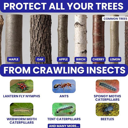 Spotted Lantern Fly Trap for Trees. 3 Sticky Fly Paper Rolls with Pins and Egg Scraper. Bug Tree Tape Wrap Ant Barrier Spotted Lanternfly Killer. Lantern Flies Tape for Trees Glue Insect Barrier