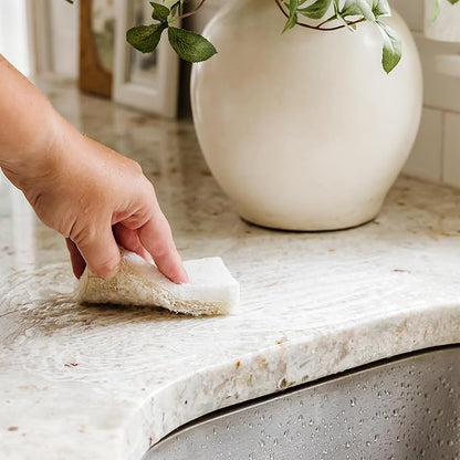 Full Circle Nutcase, Plant-Based Scrubber Sponges – Pack of 6 – 3 Walnut & 3 Coconut – Powerful Natural Sponges Made with Plants & Recycled Materials, Safe for Nonstick - Image 10