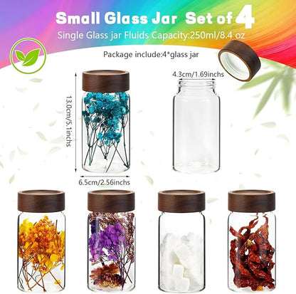 8 oz Small Glass Spice Jars with Airtight Wood Acacia Lid 4 PCS,Clear Coffee Ground Storage Canister Round Glass Spice Jar for Pantry Sugar Tea Bean Nuts Cookies Salts Seasoning - Image 3