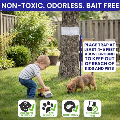 Spotted Lantern Fly Trap for Trees. 3 Sticky Fly Paper Rolls with Pins and Egg Scraper. Bug Tree Tape Wrap Ant Barrier Spotted Lanternfly Killer. Lantern Flies Tape for Trees Glue Insect Barrier