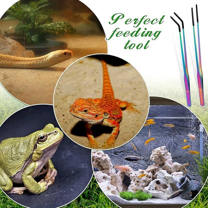 Lasnten 2 Pcs Extra Long Stainless Steel Reptile Feeding Tongs with Rubber Tip 10 Inch, 10.5 Inch Bearded Dragon Aquarium Straight and Curved Long Tweezer Terrarium Feeder Tool for Tank(Colorful)